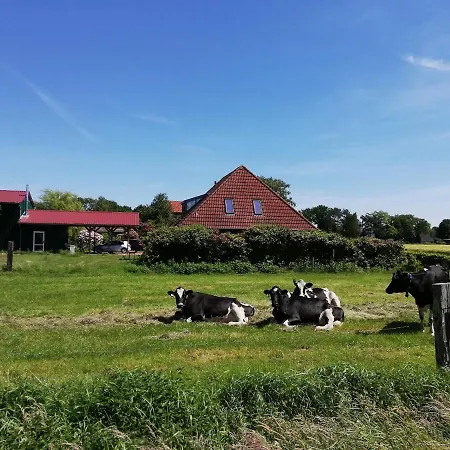 Etzel-lodge Weideblick 아파트 *