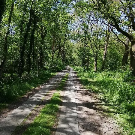 Etzel-lodge Weideblick 아파트