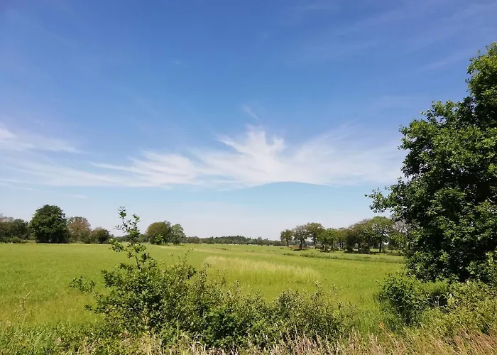 아파트 Etzel-lodge Weideblick