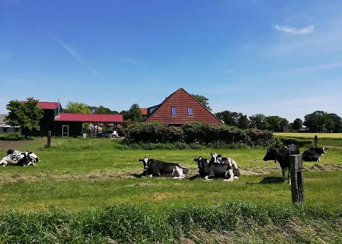 Etzel-lodge Weideblick 아파트 *