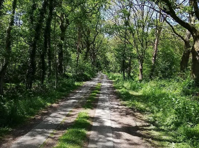 Etzel-lodge Weideblick 아파트